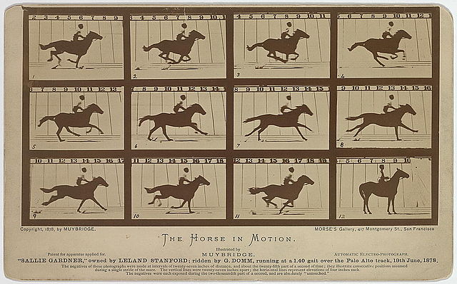 640px-Eadweard_Muybridge-Sallie_Gardner_1878